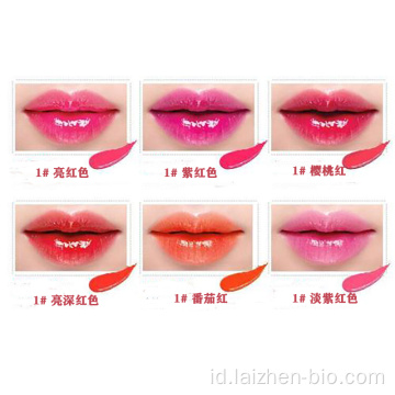 Label pribadi kustom Lip gloss cerah multi-warna